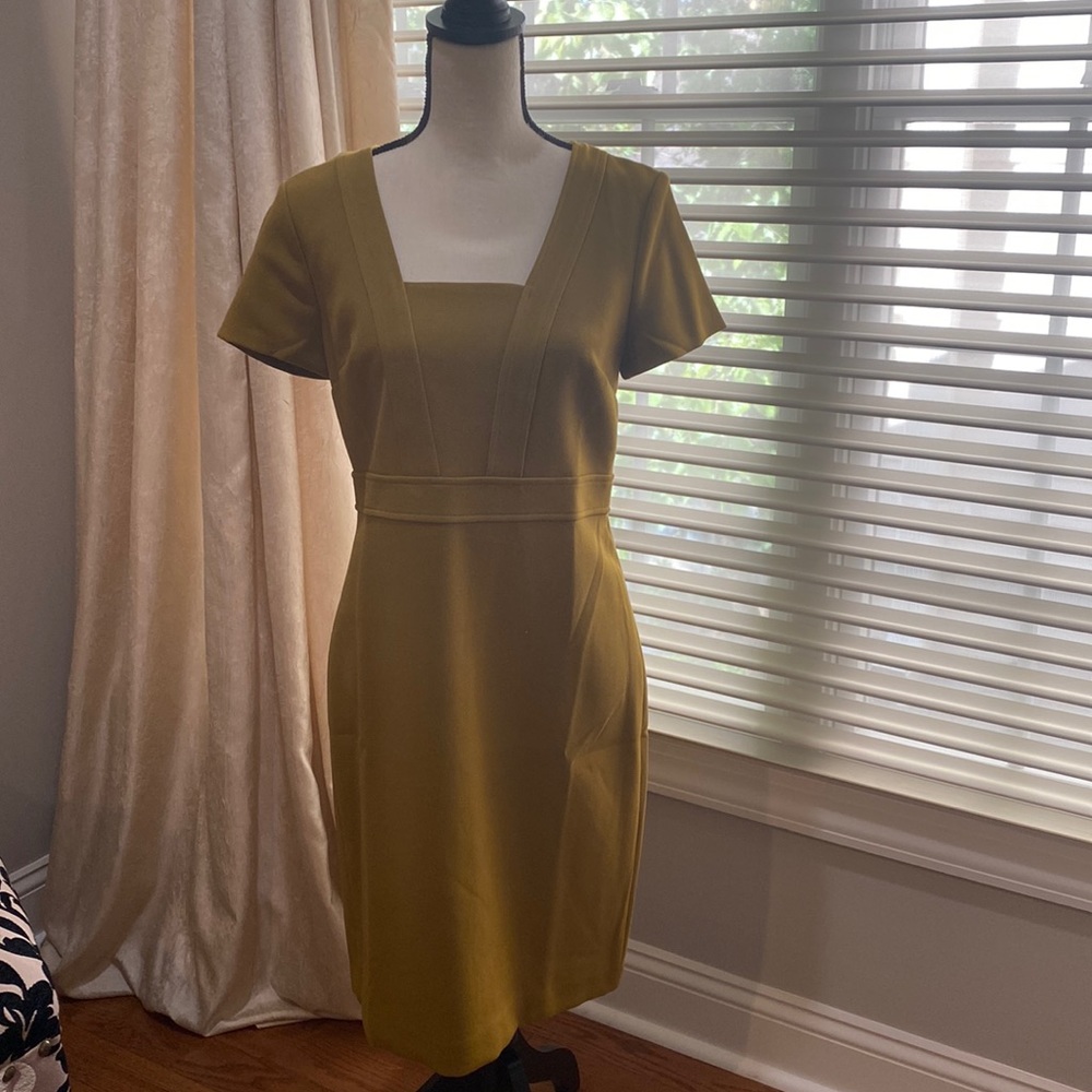 New Ann Taylor dress,perfect for fall